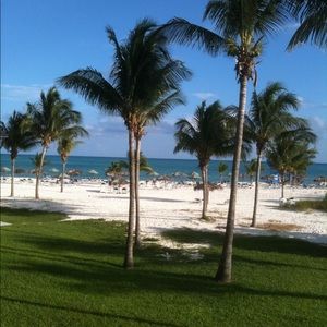 Meet your Posher, Renee